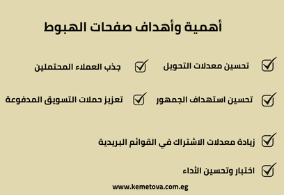 أهمية وأهداف صفحات الهبوط