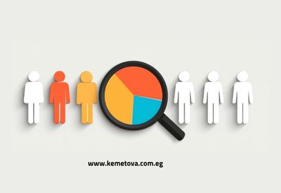 تحديد الجمهور المستهدف
